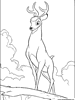 Disegni renna